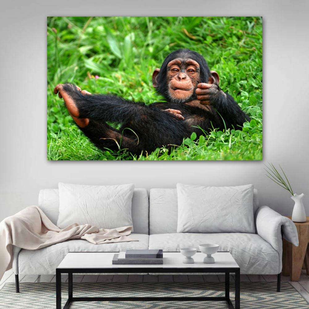 Amazon.co.jp: 装飾画赤ちゃん動物チンパンジーおかしい笑顔壁紙